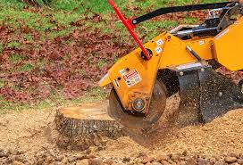 Seasonal Cleanup (Spring/Fall) in Floral Park, NY