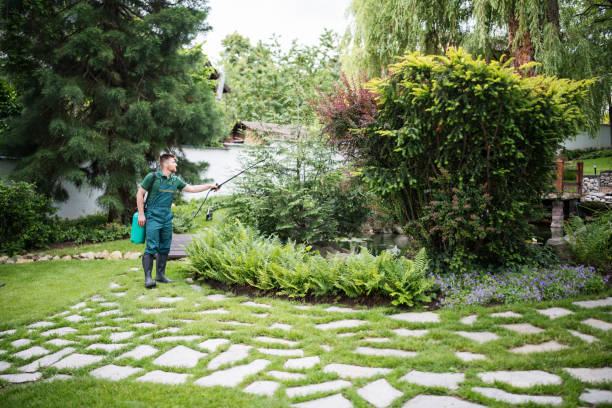 Best Hazardous Tree Removal  in Floral Park, NY