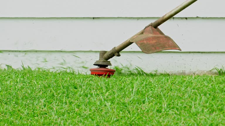  Floral Park, NY Tree Services Pros